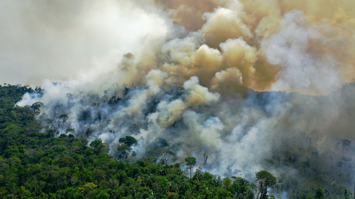 Hořící Amazonie? Lži, reaguje brazilská vláda, DiCaprio se má sám přesvědčit